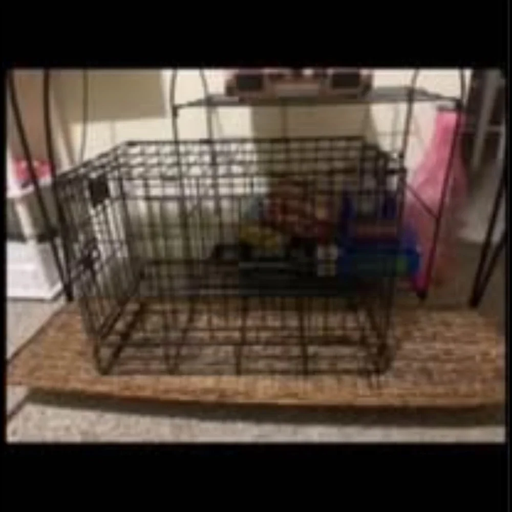 Dog items